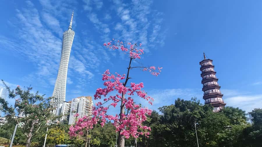 Guangzhou: Old & New City Tour with Pearl River Night Cruise - Relaxing on the Pearl River Night Cruise
