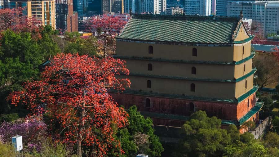 Guangzhou: Old & New City Tour with Pearl River Night Cruise - FAQ