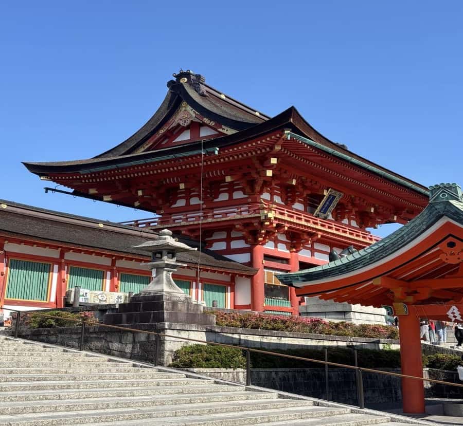 Tokyo: Nara Private Day Tour with English-Speaking Guide - Key Points
