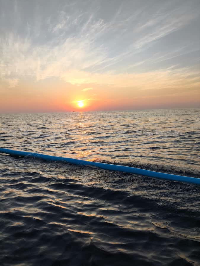 Pemuteran: Dolphin Watching Tour with Hotel Transfer - An In-Depth Look at the Pemuteran Dolphin Watching Experience