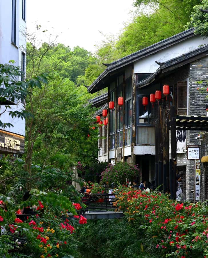 Shenzhen Gankeng Ancient Town & Cultural Heritage 5H Tour - The Details That Make This Tour Stand Out
