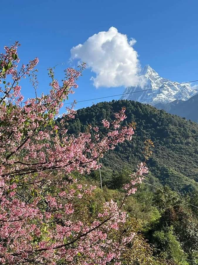 Pokhara: 2-Day Ghandruk Village Tour With Lady Guide - Final Thoughts