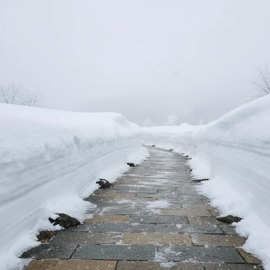 The White Alps Route: Private Nagano Escape from Tokyo - FAQ