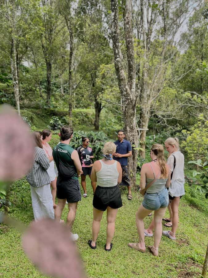 Munduk : Coffee Plantation Tour and Bamboo Weaving Class - Practical Details and Logistics