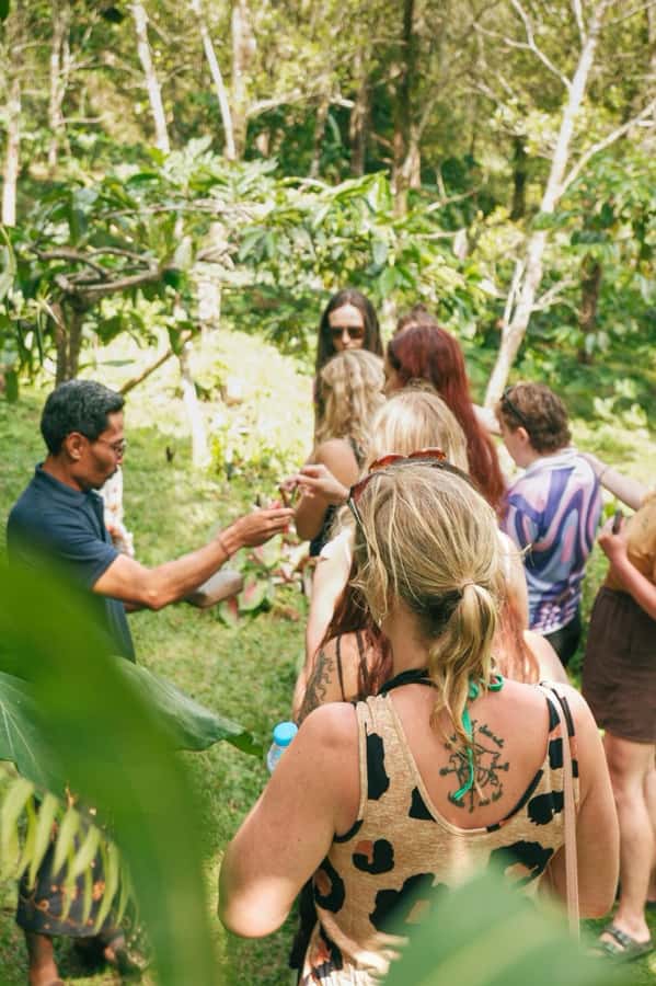 Munduk : Coffee Plantation Tour and Bamboo Weaving Class - What to Expect from the Experience