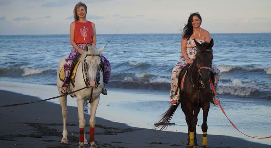 Bali: Saba Beach Horseback Riding Experience - Value & Pricing