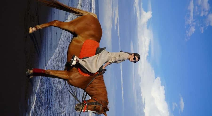 Bali: Saba Beach Horseback Riding Experience - Final Thoughts: Who Is This Tour Best For?