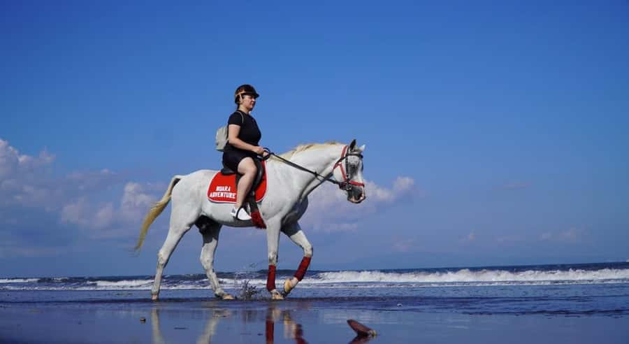 Bali: Saba Beach Horseback Riding Experience - What to Expect on Your Ride