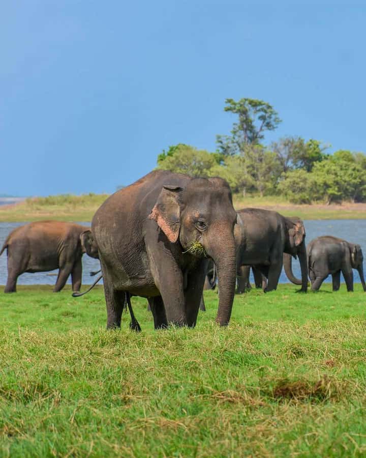 Sigiriya: Countryside Jeep Tour with Viewpoints & Villages - Key Points