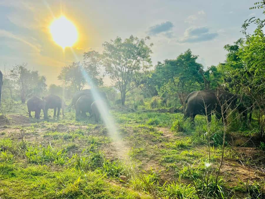 Sigiriya: Countryside Jeep Tour with Viewpoints & Villages - The Itinerary in Detail