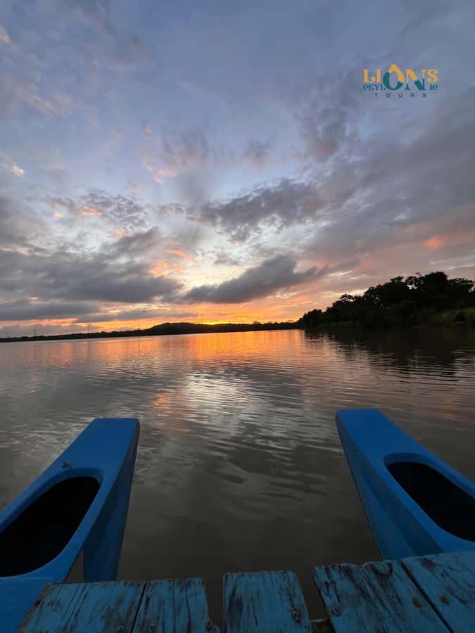 Sigiriya: Habarana Lake Boat Safari & Wildlife Experience - Overview of the Sigiriya: Habarana Lake Boat Safari & Wildlife Experience