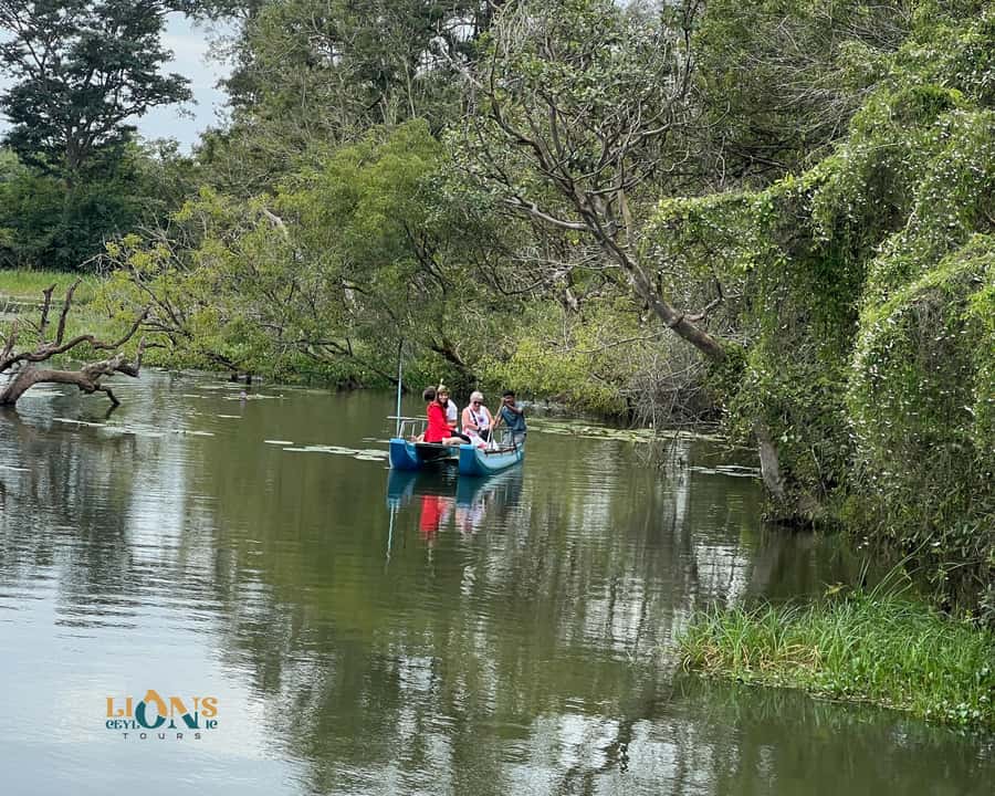 Sigiriya: Habarana Lake Boat Safari & Wildlife Experience - What Makes This Tour Valuable?