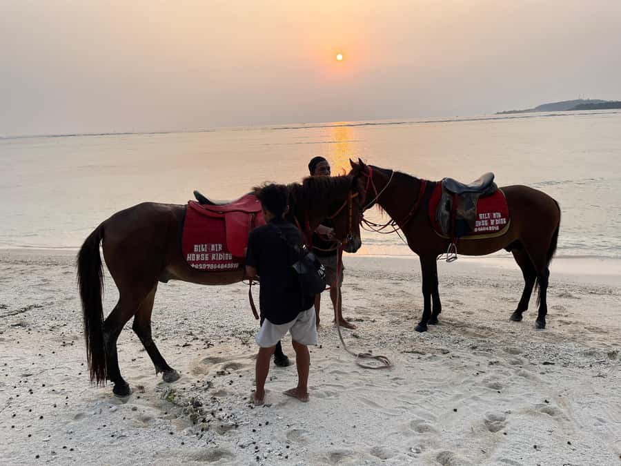 Gili Air: Private Sunrise or Sunset Horse Riding Tour - FAQ