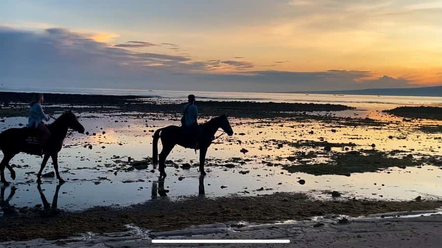 Gili Air: Private Sunrise or Sunset Horse Riding Tour - What to Expect from the Tour