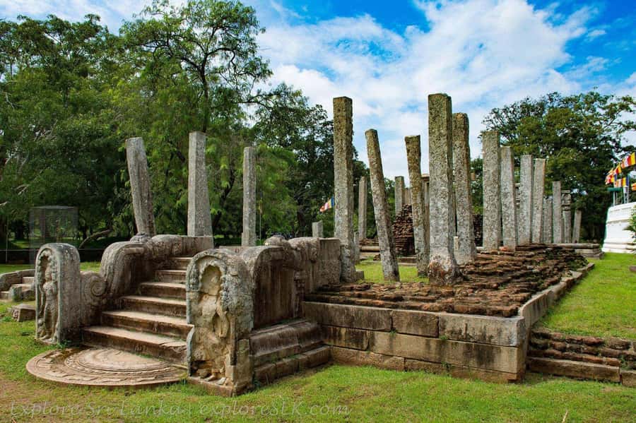 Ancient Polonnaruwa Stories & Minneriya Safari from Sigiriya - Practical Tips for Your Day Out