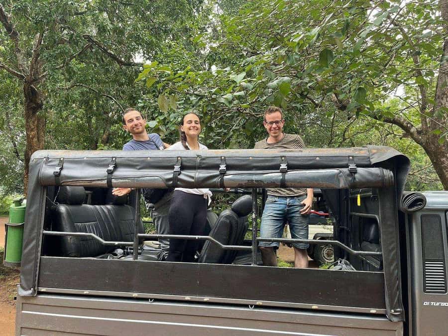 Ancient Polonnaruwa Stories & Minneriya Safari from Sigiriya - Pricing and Value