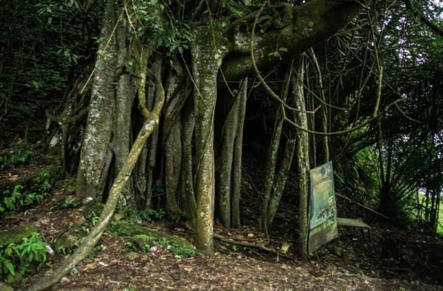 Trunyan Cemetery Tour with Boat Ride and Guide - Practical Details & What You Need to Know