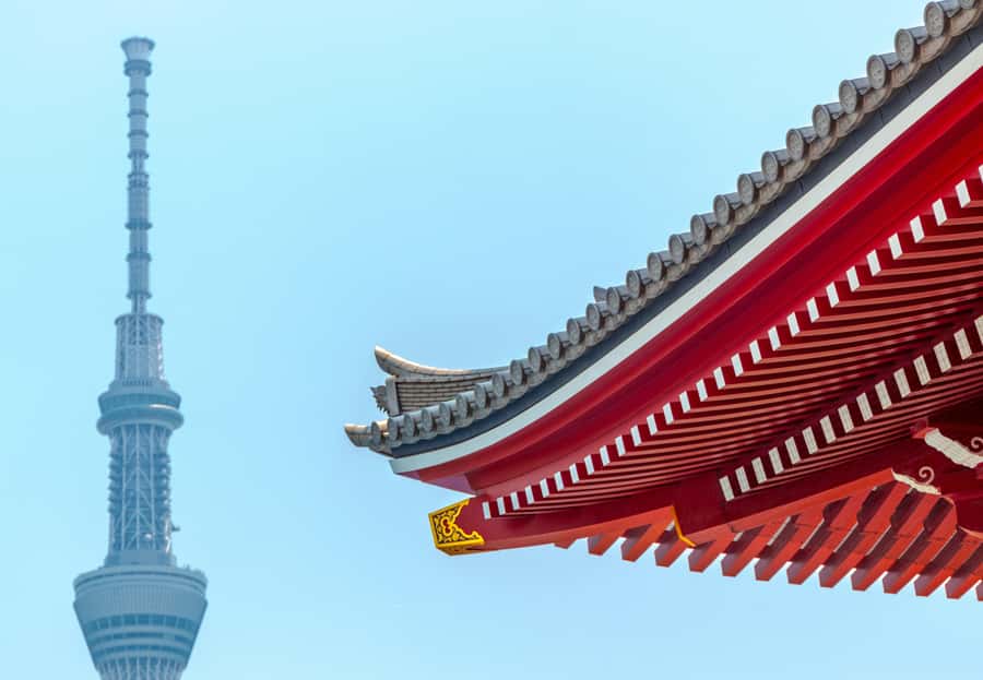 Tokyo Private Guided City Highlight Tour with Local Insights - Final Thoughts