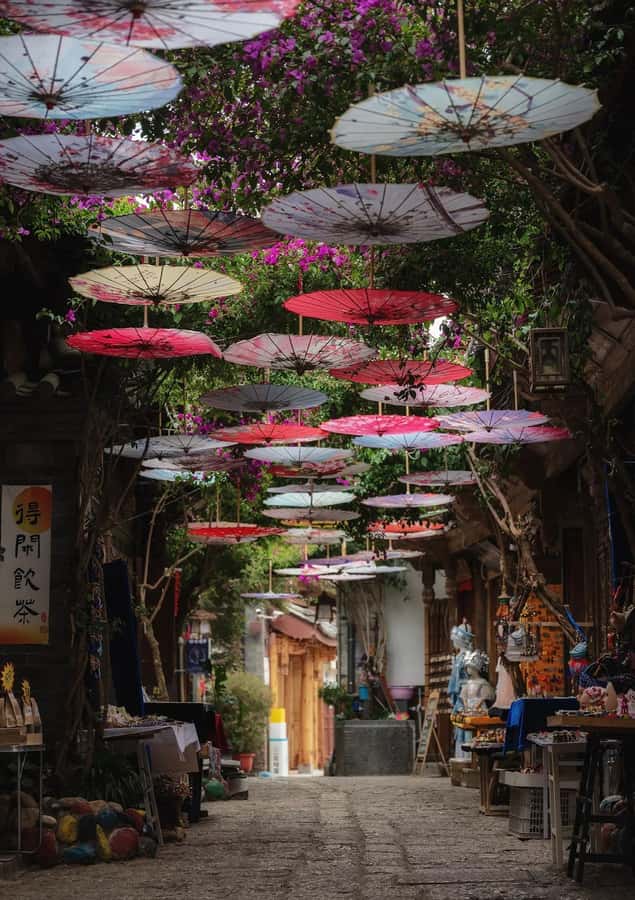 Lijiang: Old Town Cultural Walking Tour with Local Host - The Sum Up