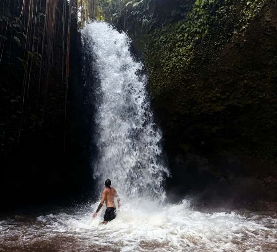 Ubud: 5 Waterfalls in One Day Tour - The Itinerary: What to Expect at Each Waterfall