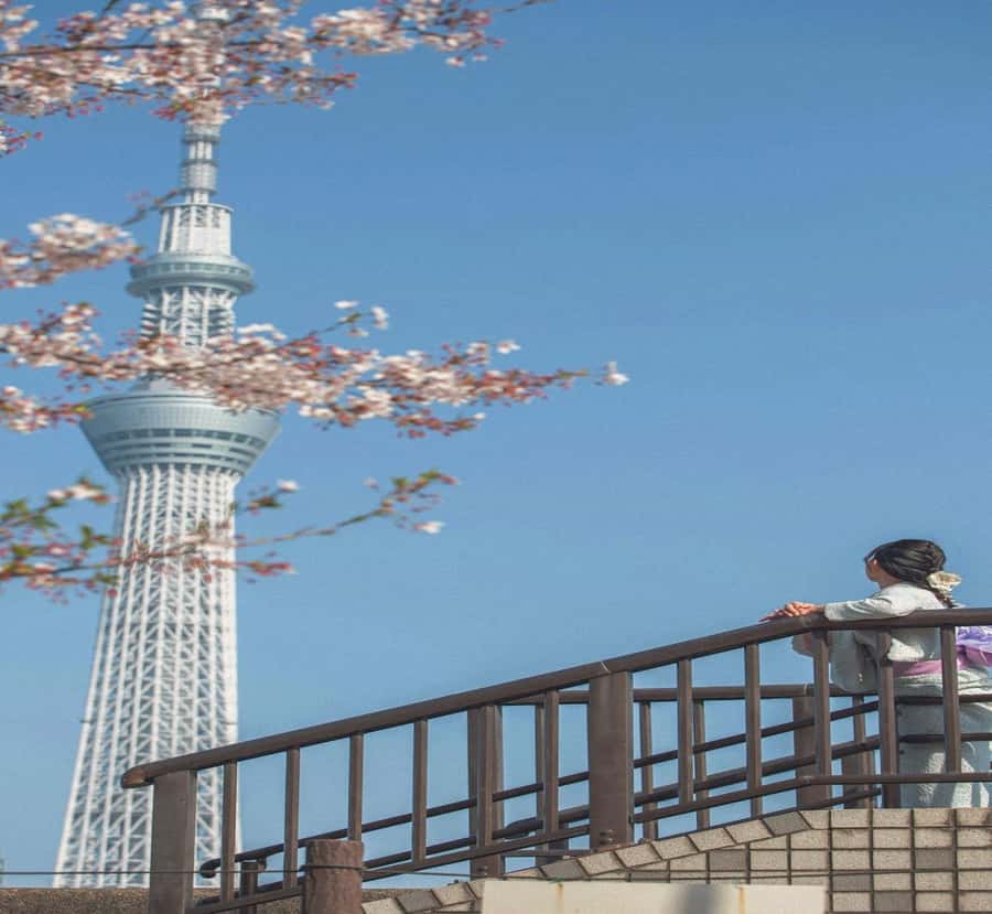 Kyoto/Osaka:Tokyo Full-Day Private Tour with English Guide - Who is This Tour Best For?