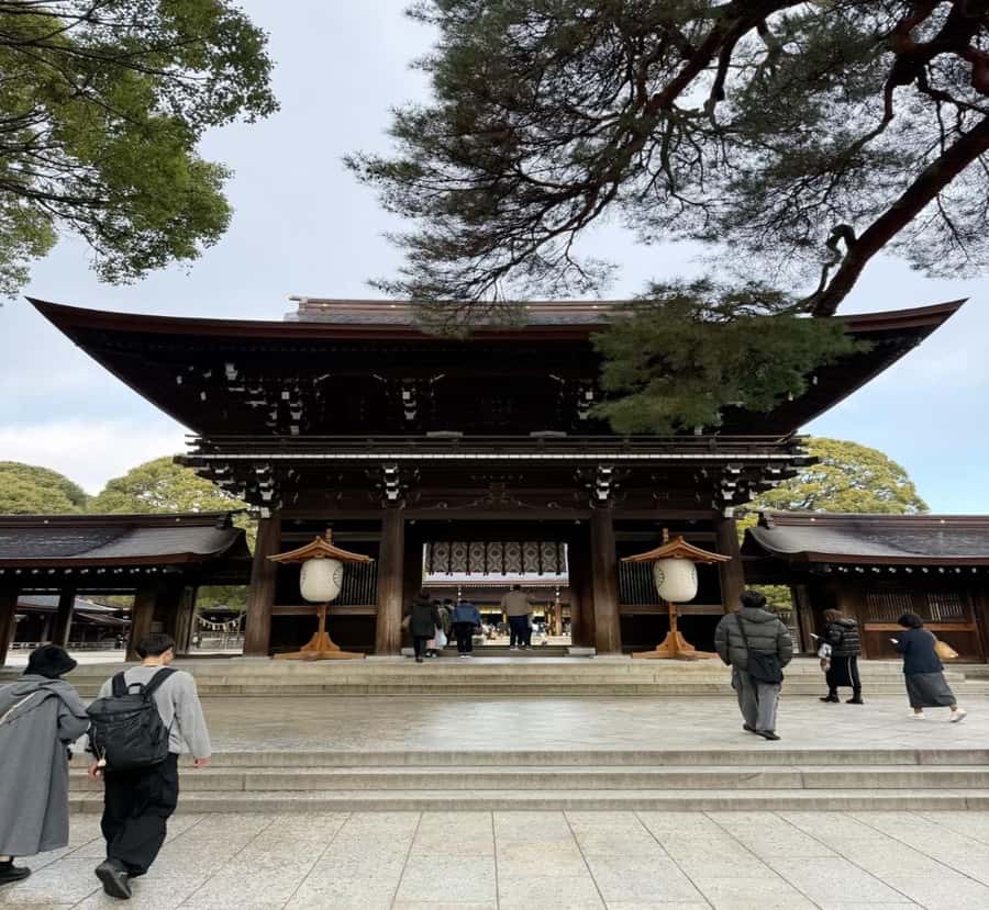 From Nagoya: Tokyo Private Scenic Tour with English Guide - The Logistics: What to Expect