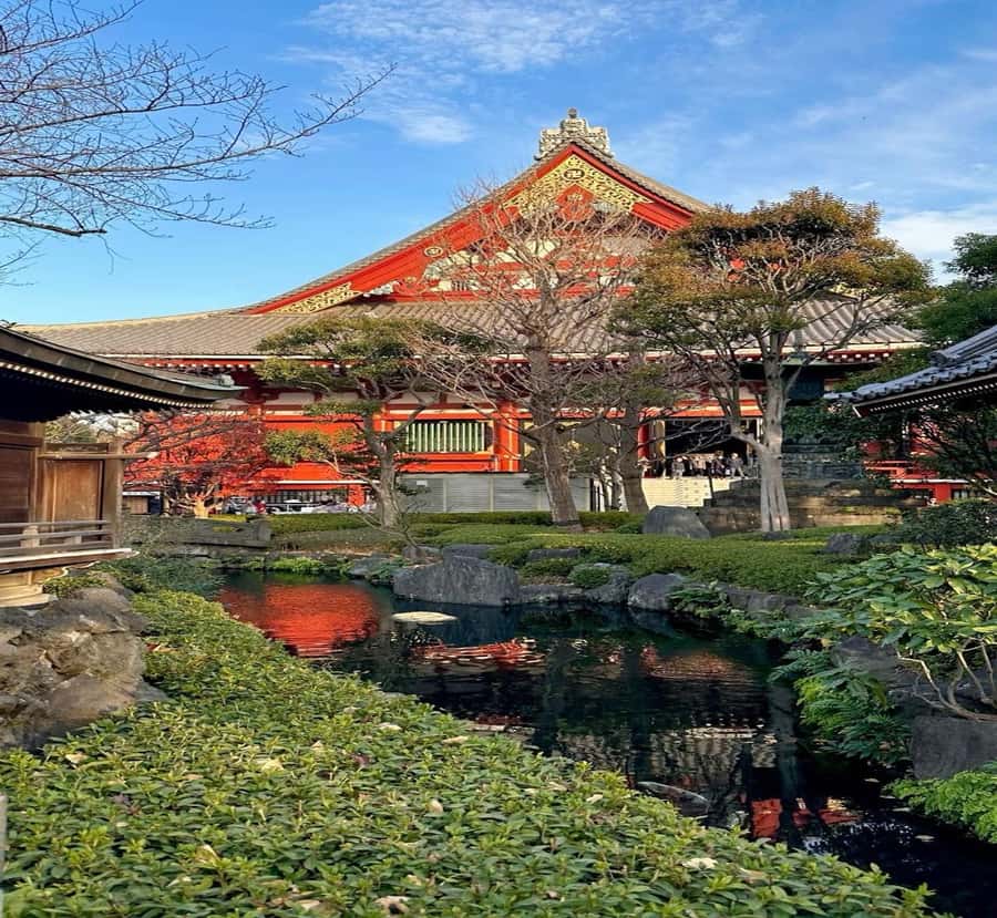 From Nagoya: Tokyo Private Scenic Tour with English Guide - The Itinerary Breakdown