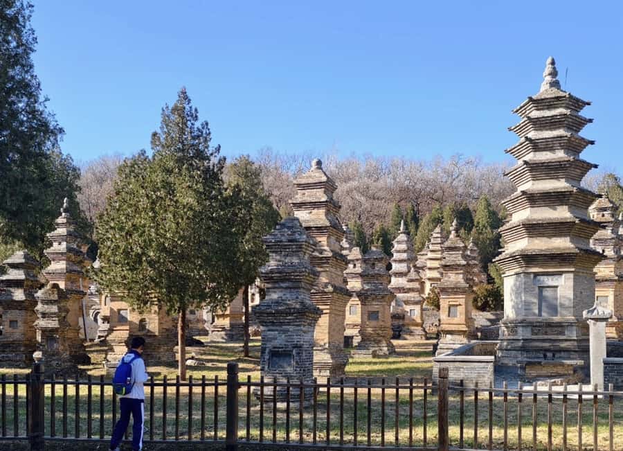 Luoyang/Zhengzhou to Shaolin temple +kongfu training tour - Good To Know