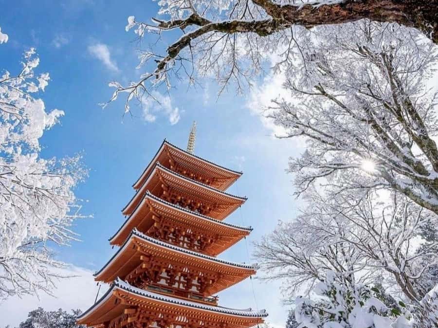 JAPAN: 5 Days Tokyo, Mt Fuji, Nikko, Nagano & Kamakura Tour - Who Should Consider This Tour?