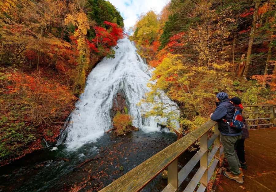 JAPAN: 5 Days Tokyo, Mt Fuji, Nikko, Nagano & Kamakura Tour - Final Thoughts