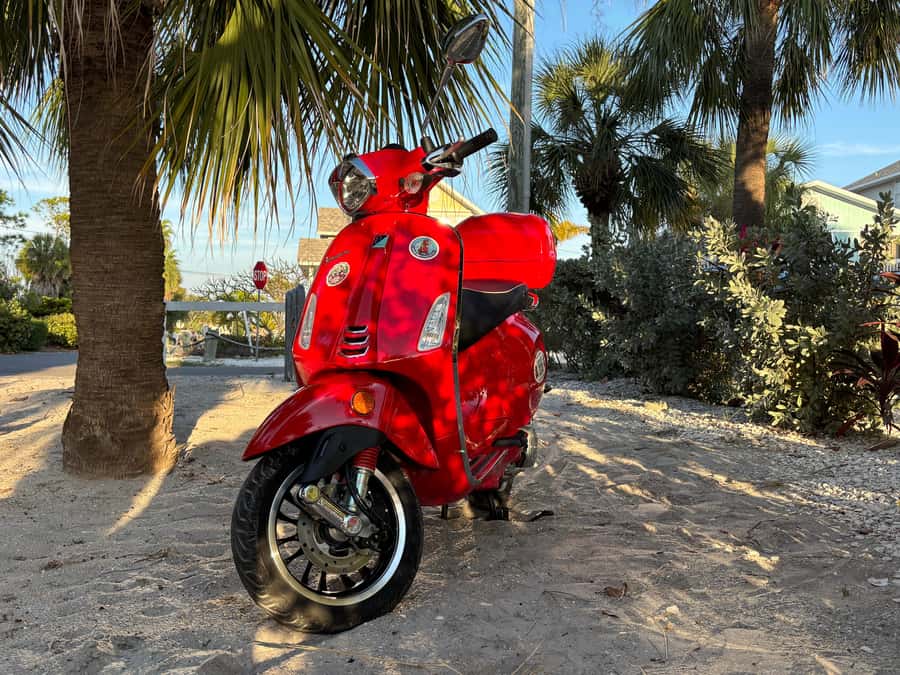 St. Petersburg: Guided Vespa Beach Tour With Curated Stops - Final Thoughts