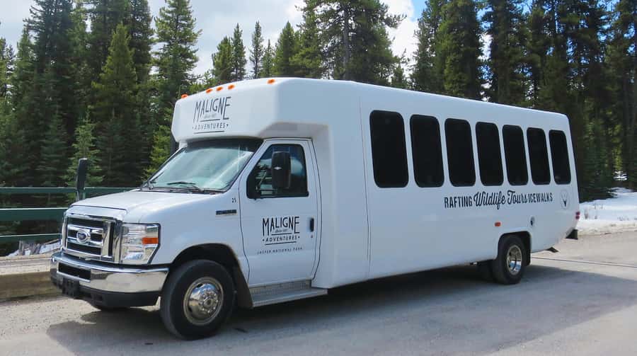 Jasper: Wildlife and Sightseeing Tour with Lakeshore Hike - Jasper: Wildlife and Sightseeing Tour with Lakeshore Hike