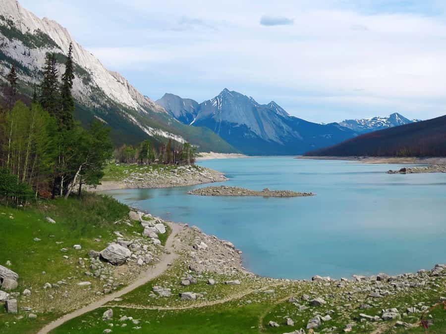 Jasper: Wildlife and Sightseeing Tour with Lakeshore Hike - The Sum Up
