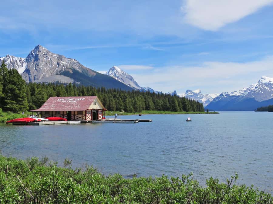 Jasper: Wildlife and Sightseeing Tour with Lakeshore Hike - FAQ