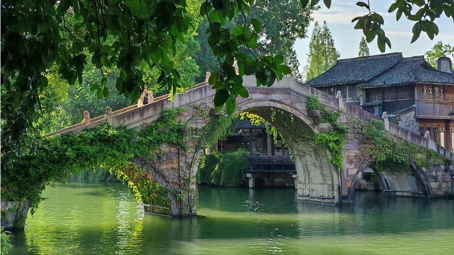 Shanghai: Private Wuzhen Day Tour with Indigo Workshop - Good To Know