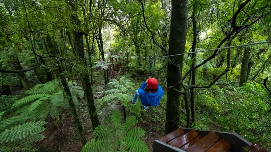Rotorua: 6 Ziplines, Swing-Bridges & Wildlife Encounters - Final Thoughts