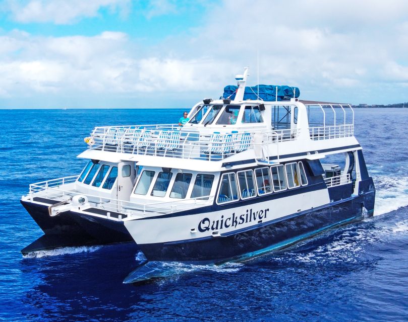 From Ma'alaea: AM Turtle Town Snorkel Aboard Quicksilver - Practical Details and Tips