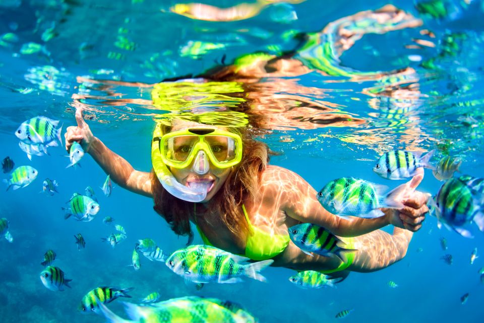 From Ma'alaea: AM Turtle Town Snorkel Aboard Quicksilver - Frequently Asked Questions