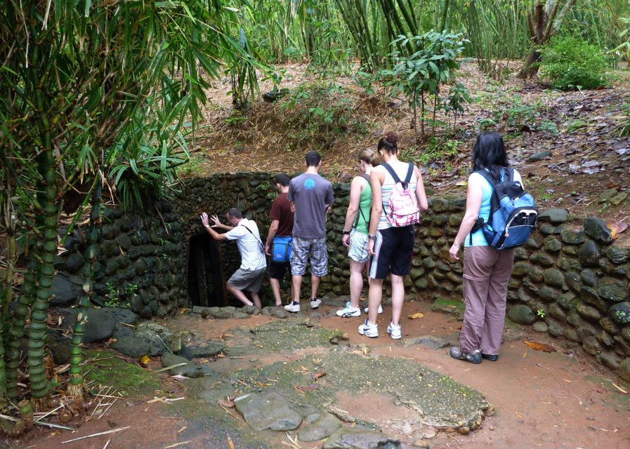 Private Cu Chi & Mekong Delta Tour: History Meets Nature - A Well-Rounded Introduction to Vietnam’s Past and Present