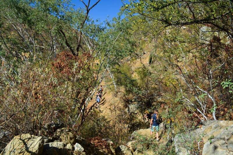Fox Canyon: Day Hike - Discover Fox Canyon: A Guided Day Hike in Baja California Sur