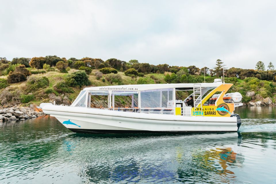 Kangaroo Island: 75-Minute Coastal Safari - Key Points