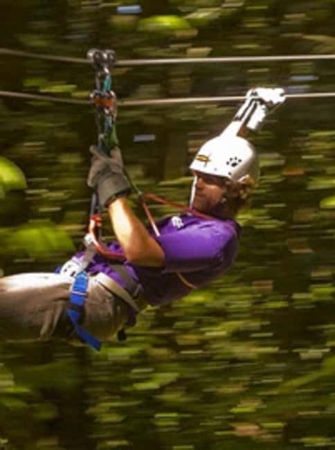 Rainforest Zipline Mystic Mountain trip - What Makes This Tour Stand Out