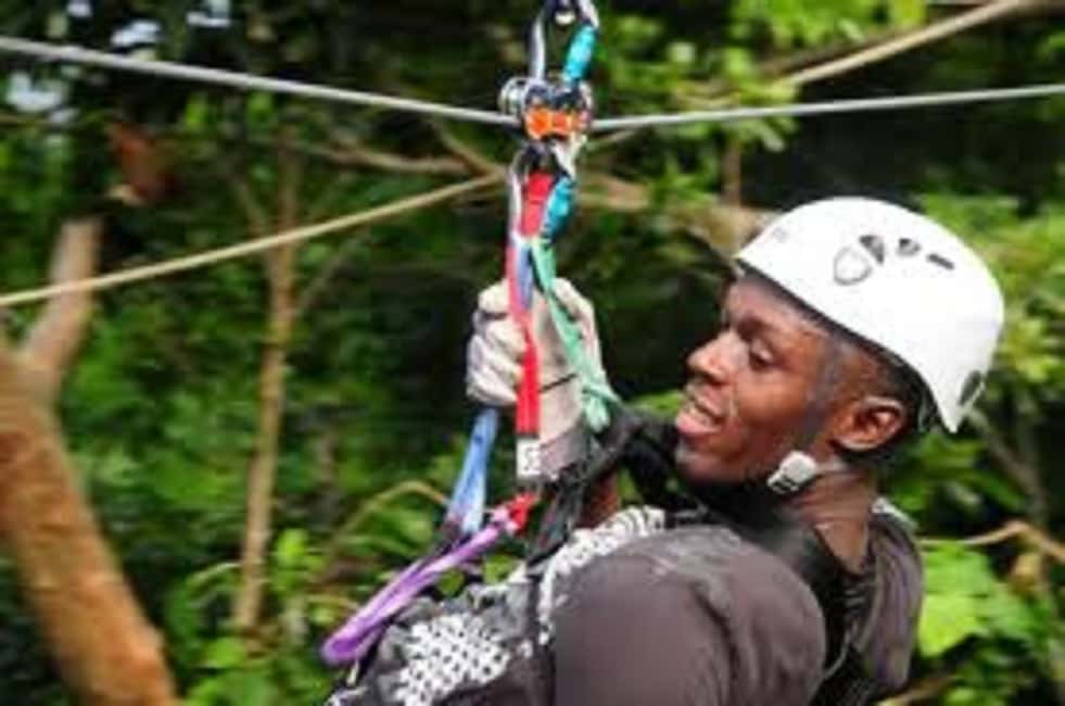 Rainforest Zipline Mystic Mountain trip - Why Choose This Tour?
