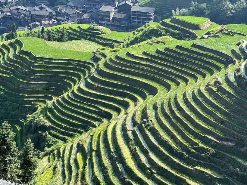 Longji Rice Terraces: Full-Day Private Tour from Guilin - Good To Know