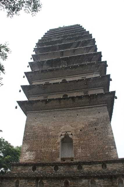 Chengdu: Giant Panda and Leshan Buddha Sall Group Day Tour - Final Thoughts