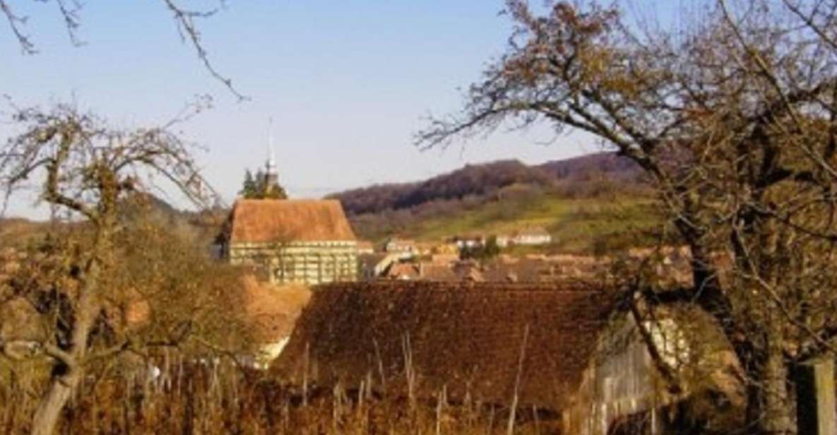 Saxon Secrets: The Malancrav & Biertan Experience - In-Depth: What Makes This Tour Special?