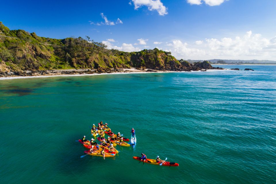 Byron Bay: The Byron Bay Sea Kayak Tour - Key Points
