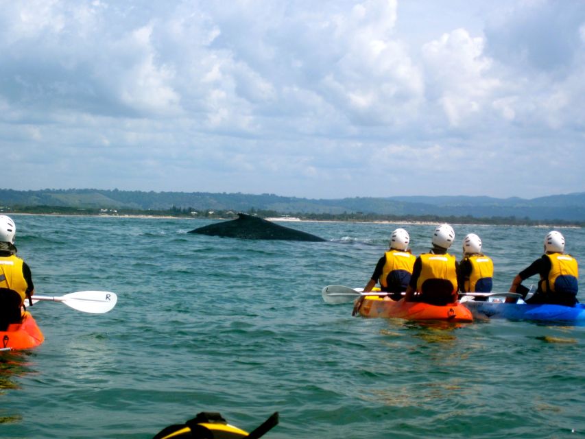 Byron Bay: The Byron Bay Sea Kayak Tour - FAQ