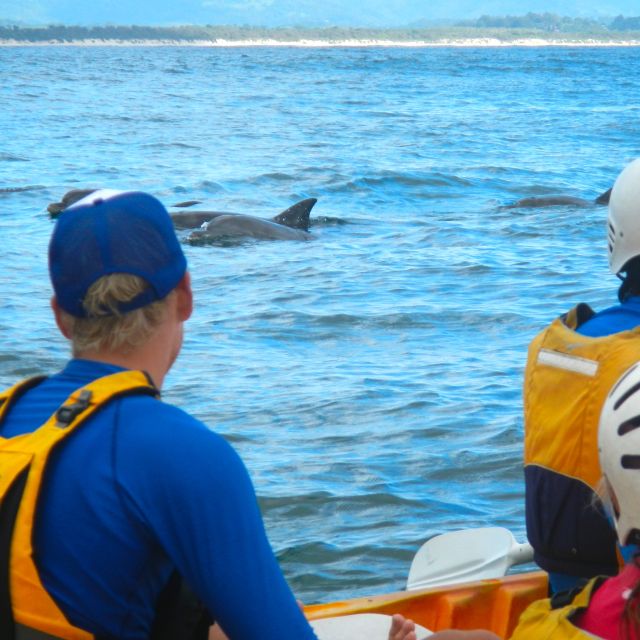 Byron Bay: The Byron Bay Sea Kayak Tour - The Balance of Experience and Practicality