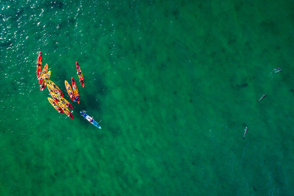 Byron Bay: The Byron Bay Sea Kayak Tour - The Sum Up